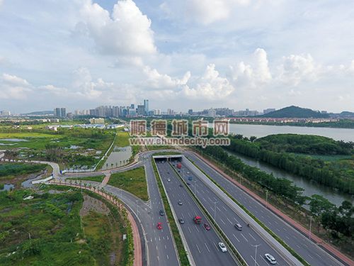 要绕行碧桂路大良新城段下沉隧道施工