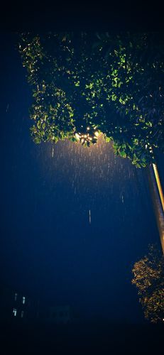 拍摄分享:夜雨