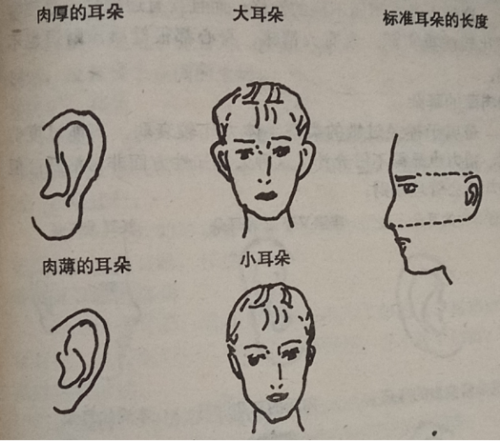 面相之从耳朵看人的运势