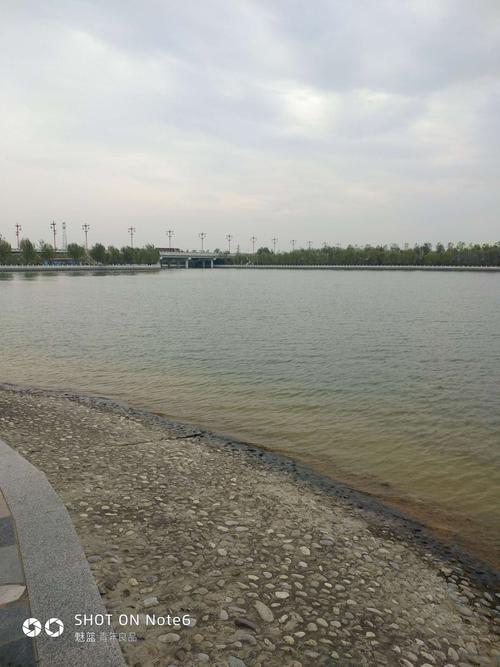 大荔同洲湖掠影