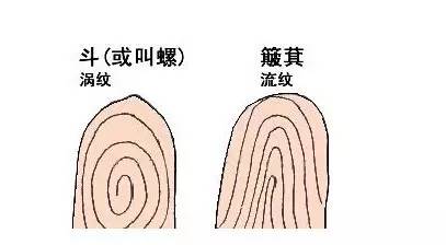 手相斗和簸箕的说法