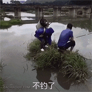 梗 笑死 搞笑 沙雕图 哈哈哈