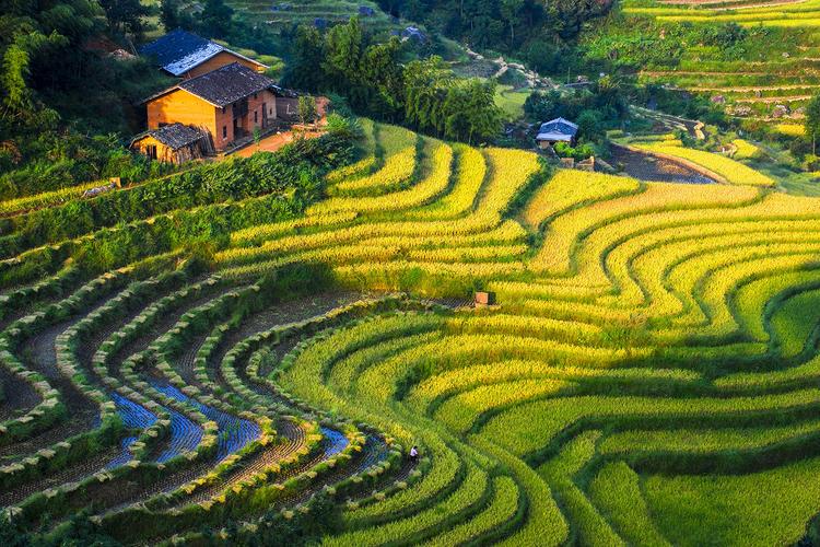 全球十大最美梯田——江西遂川桃源梯田