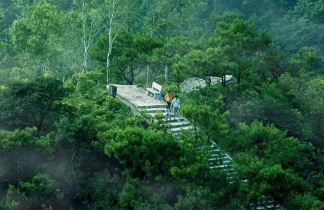 云梯山森林公园有丰富的森林景观,现有树种30多种,包括杜英,红锥,荷木