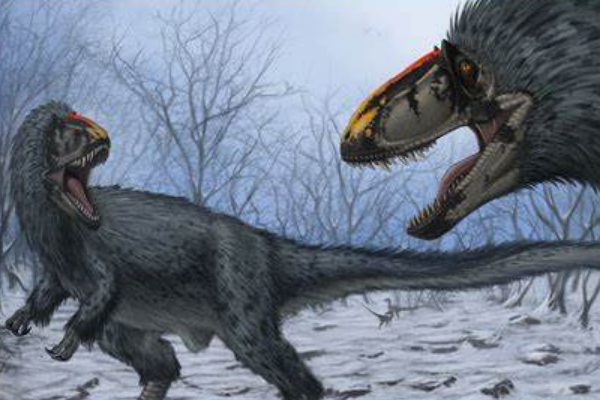 华丽羽王龙唯一带羽毛的大型肉食恐龙长9米