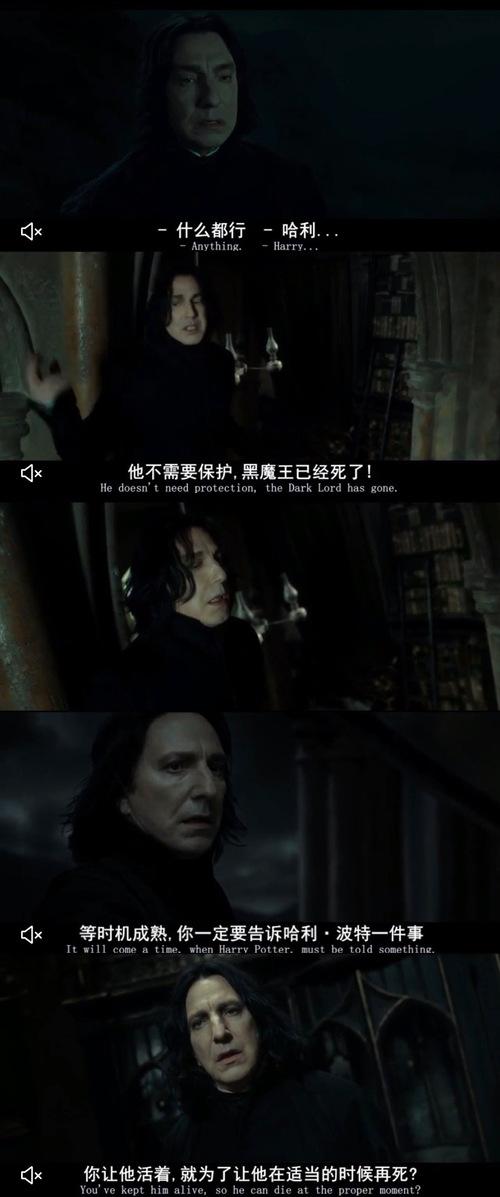 哈七斯内普合集