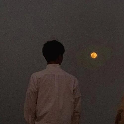 情头|520专属情侣头像