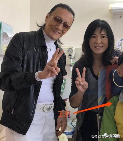 83岁谢贤探望75岁王羽,后者曾比成龙,狄龙还要猛,如今