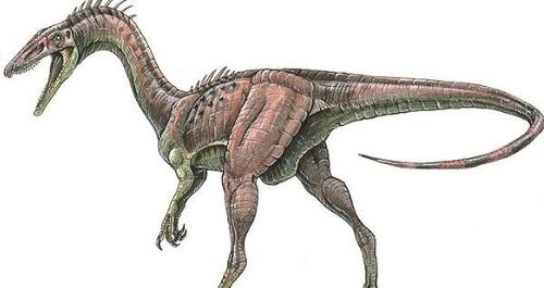 原美颌龙:德国小型食肉恐龙(长1.2米/距今2.19亿年前)