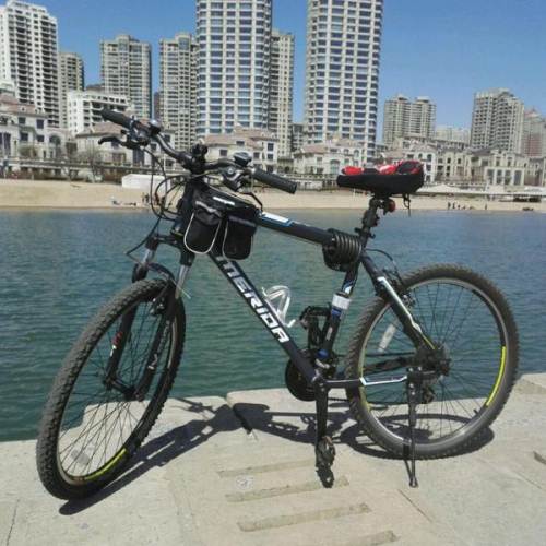 美利达 勇士 650v刹19寸26 自行车 山地 山地车 山地自行车