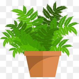 卡通绿色含羞草