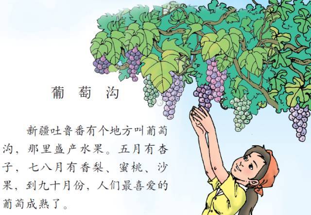 《葡萄沟》 / 新疆吐鲁番 / 教材内容 北师大版《小学语文》三年级