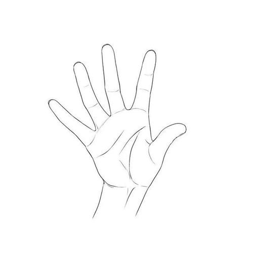 世纪难题——"手"该怎么画?