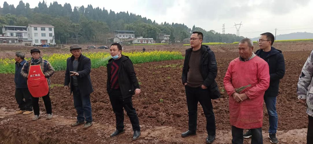 县农业农村局到荷叶乡督导检查高标准农田建设项目