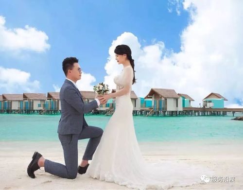 赵正茂与爱媳郑传英喜结良缘(陈尚兵,赵羽,赵曦,谭江波,赵阳,陈晓慧