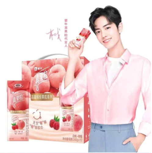 蒙牛真果粒肖战代言白桃树莓礼盒240g10盒肖战真含乳