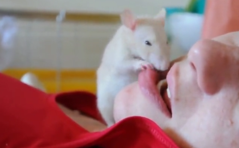 女子10年不刷牙,牙齿依然美白如初,全靠她养的小白鼠