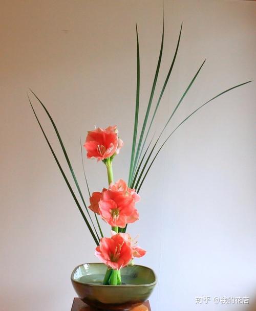 花艺知识丨花艺插花花道分不清那你应该读读这篇文章