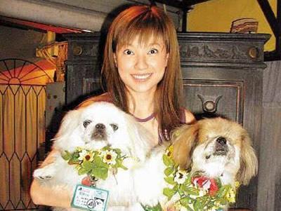 盘点娱乐圈爱狗如命的十大女星:你喜欢哪一个