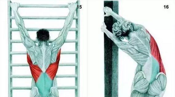 针对背阔肌的拉伸——阔背肌伸展脊柱牵引,针对背阔肌的拉伸——阔背