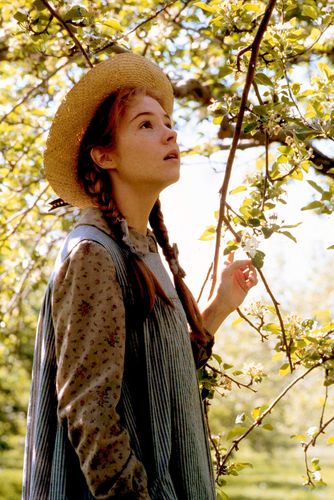 活动须知          童阅沙龙  第36期  影片:《绿山墙的安妮》「上