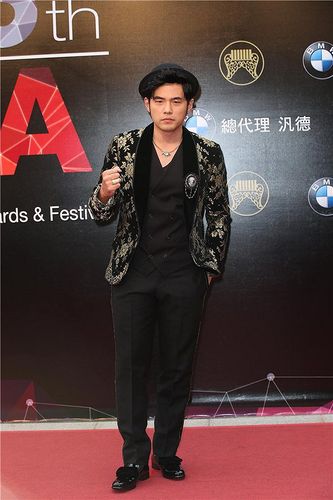 第26届台湾金曲奖颁奖典礼 蔡依林最惊艳小s仍毒舌