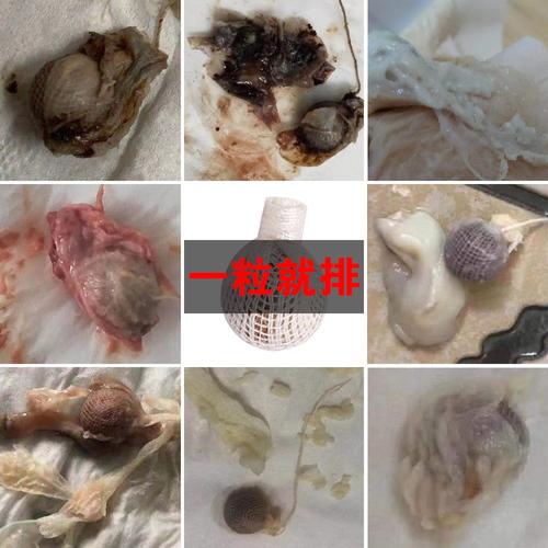 保养子宫卵巢私处