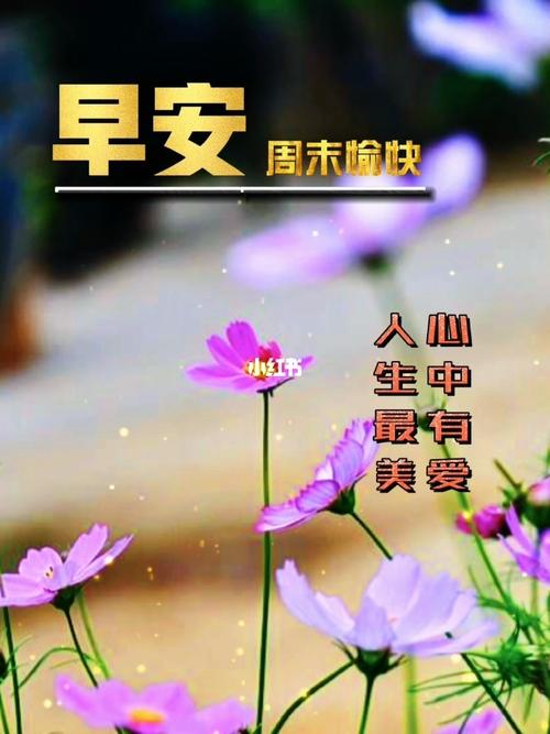 早安/周末愉快_深圳攻略_早安晨之美_生活记录_日常