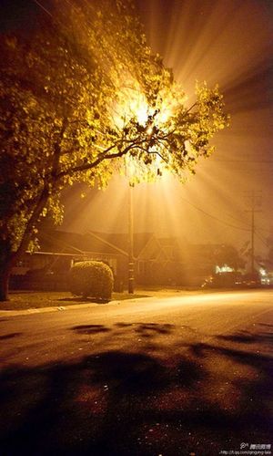 有一天,当你我暮年,若要问我,人生的哪一段时光最快乐,我会毫不犹豫地