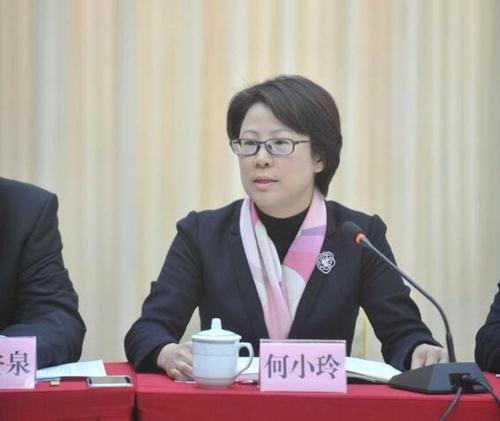 三水区委常委,乐平镇委书记何小玲: 今年乐平有两组大动作,到爆发的