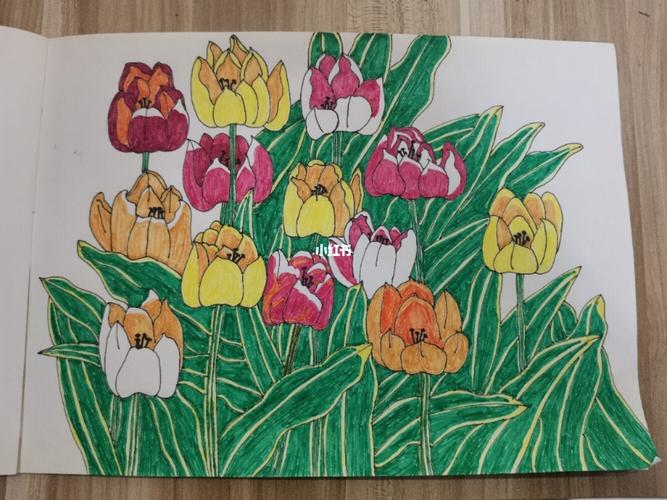 不能说一模一样,可以说毫不相干的画_画画_铅笔画_马克笔_画画练习