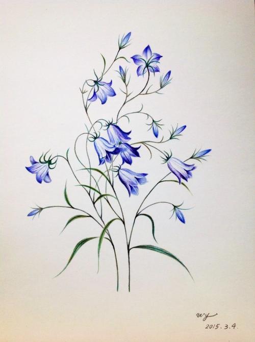 蓝铃花,法国宫廷画师雷杜德的经典画作.