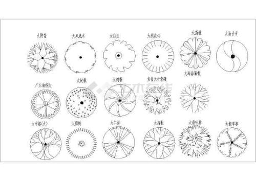 很全的南方植物乔灌木cad平面图块图片3