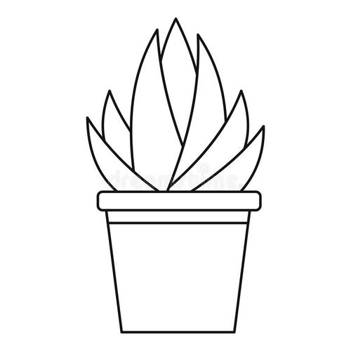 芦荟简笔画大全