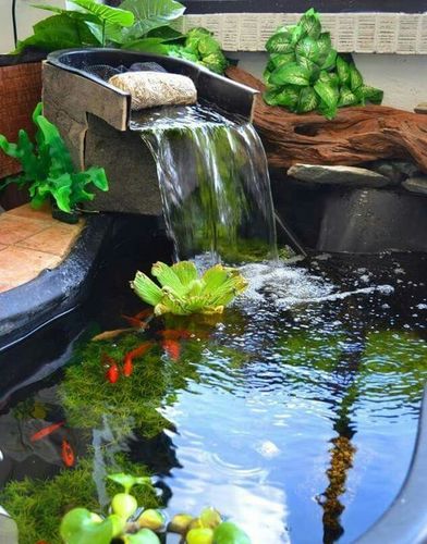 私家花园鱼塘合集,别墅庭院里的养鱼池也得有颜值!