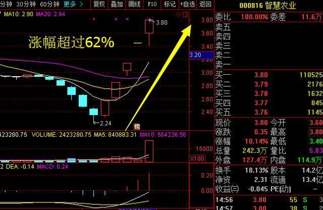 海兰信股票(st罗顿股票)