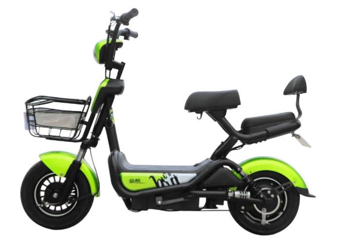 金箭电动车2018款型展示