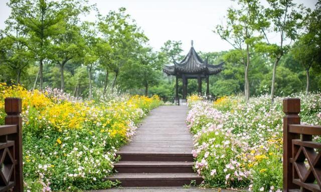 自驾一日游,常熟南湖荡湿地公园是你不错的选择