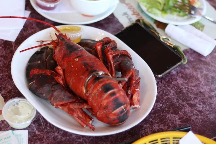 新斯科舍省人民吃龙虾喜欢清蒸,这和广东人民一样,会吃!