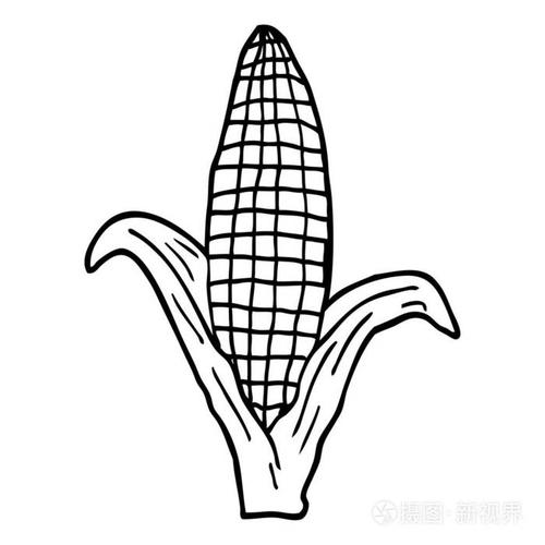 线条画动画片健康玉米