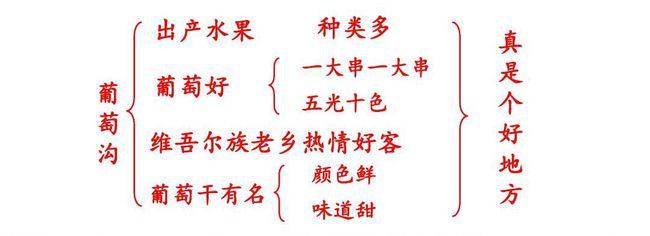 二年级语文上册十一课葡萄沟课文笔记家长辅导孩子的好帮手