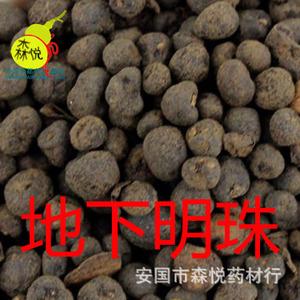 地下明珠 批发冷背中药材 落地珍珠 陈伤子 茅膏菜根 专药用