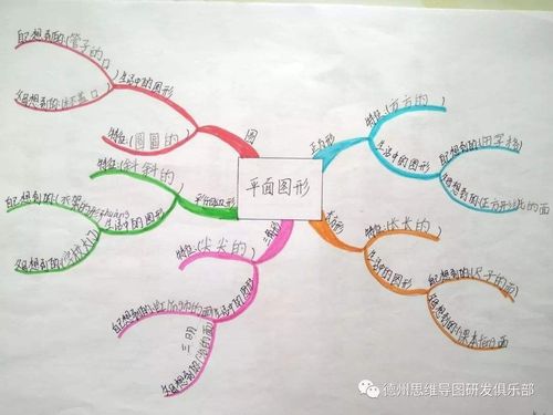 想知道平面图形的有关知识,就来看我的思维导图!