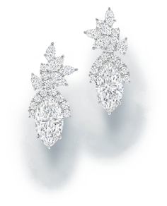 harry winston