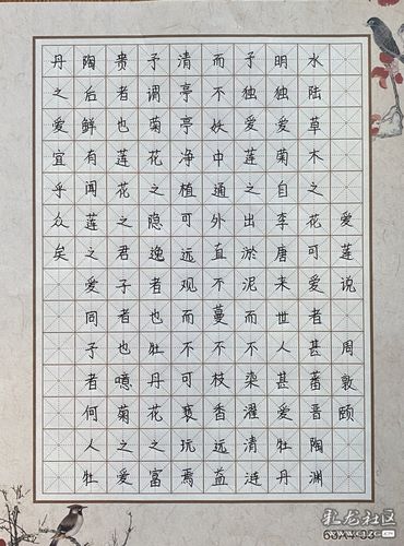 硬笔书法爱莲说江乙冉