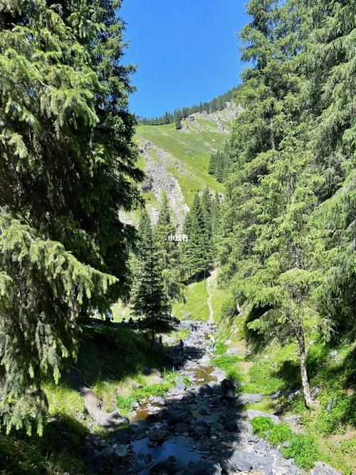 新疆 | 人间值得_瀑布_庙尔沟瀑布风景区自由行热门攻略_草坪_美图