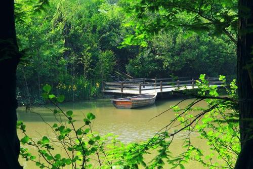 盘点上海最美丽的8大森林公园