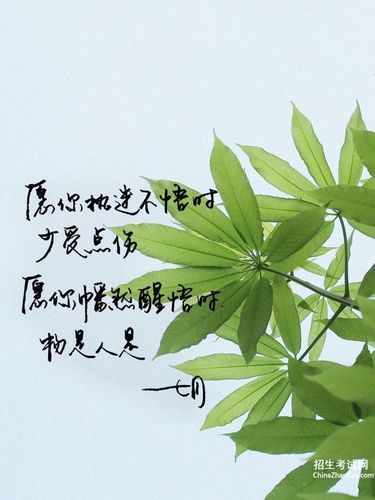 唯美暖心短句