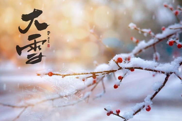 大雪节气到,我的祝福先送到!祝我客户大雪节日快乐,愿