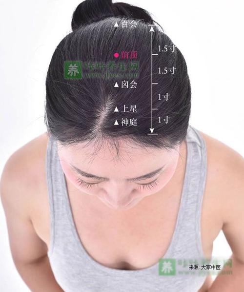 前顶的准确位置图